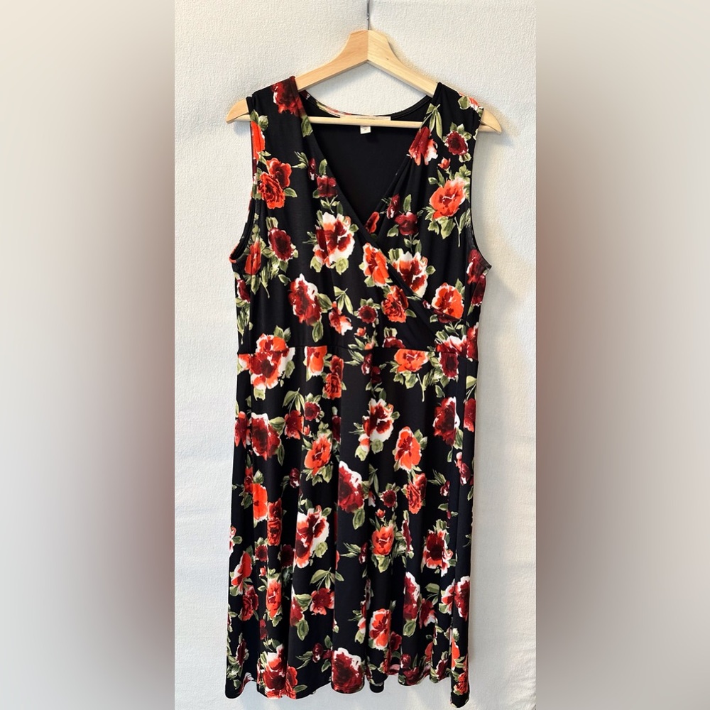 41 Hawthorn Black and Red Floral Sleeveless Mini Dress